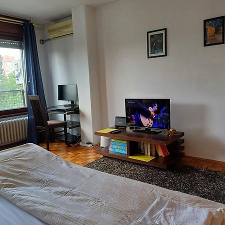 Apartment Student City, Wifi 300Mbs Belgrad Dış mekan fotoğraf