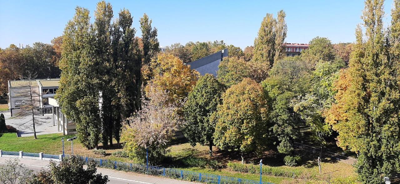 Apartment Student City, Wifi 300Mbs Belgrad Dış mekan fotoğraf