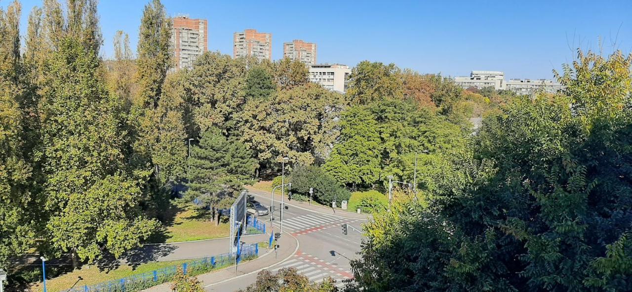 Apartment Student City, Wifi 300Mbs Belgrad Dış mekan fotoğraf